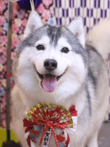 20250121ひかりちゃん